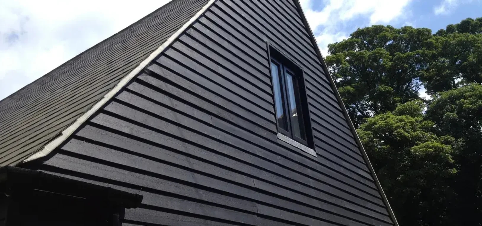 High performance versatile paints